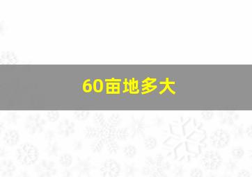 60亩地多大