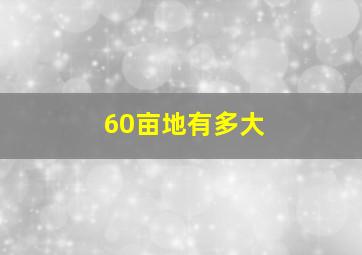 60亩地有多大