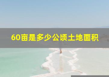 60亩是多少公顷土地面积