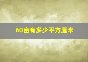 60亩有多少平方厘米