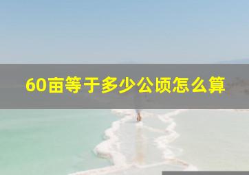 60亩等于多少公顷怎么算