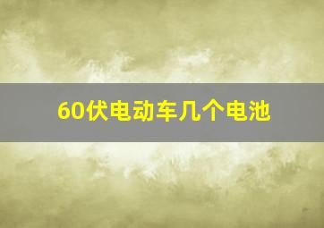 60伏电动车几个电池