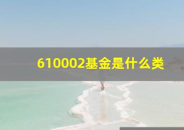 610002基金是什么类