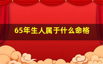 65年生人属于什么命格