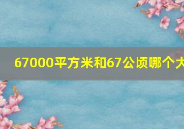 67000平方米和67公顷哪个大