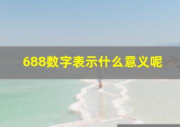 688数字表示什么意义呢