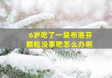 6岁吃了一袋布洛芬颗粒没事吧怎么办啊