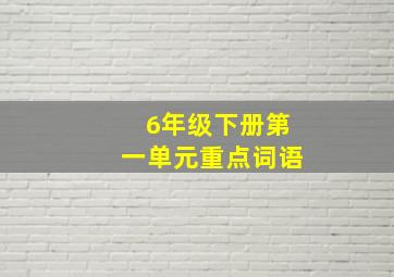 6年级下册第一单元重点词语