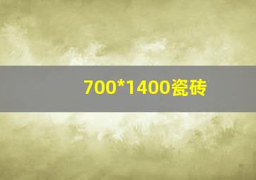 700*1400瓷砖