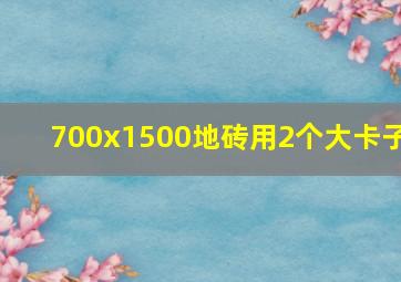 700x1500地砖用2个大卡子