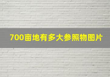 700亩地有多大参照物图片