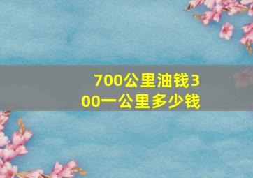 700公里油钱300一公里多少钱