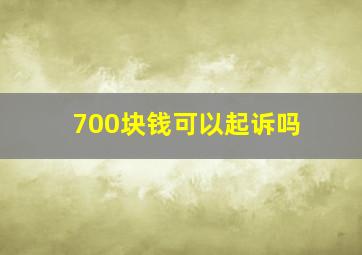 700块钱可以起诉吗