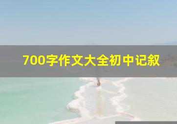 700字作文大全初中记叙