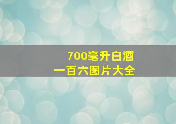 700毫升白酒一百六图片大全