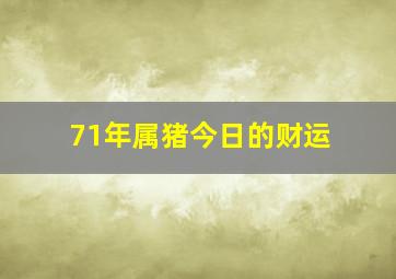 71年属猪今日的财运