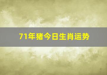 71年猪今日生肖运势