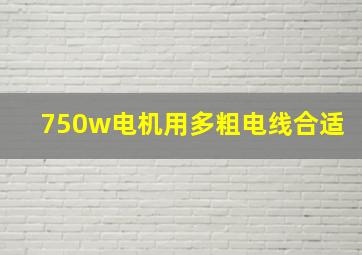 750w电机用多粗电线合适