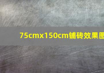 75cmx150cm铺砖效果图