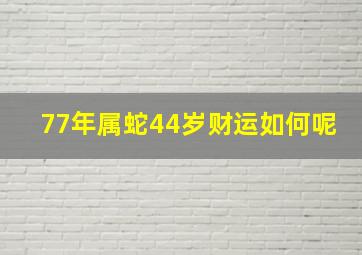 77年属蛇44岁财运如何呢