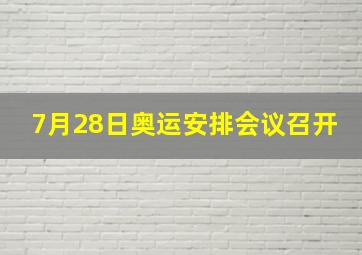 7月28日奥运安排会议召开