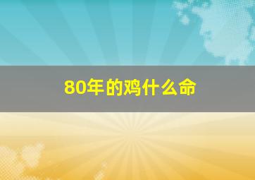 80年的鸡什么命