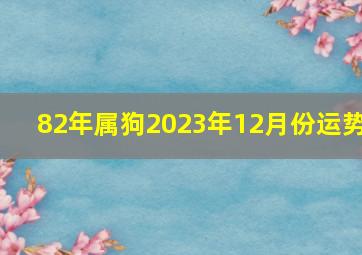 82年属狗2023年12月份运势