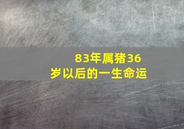 83年属猪36岁以后的一生命运