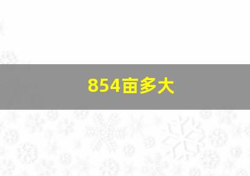 854亩多大