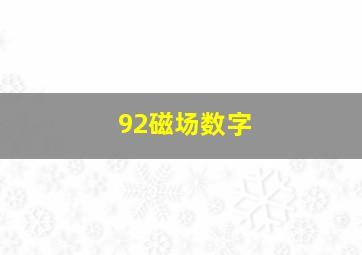 92磁场数字