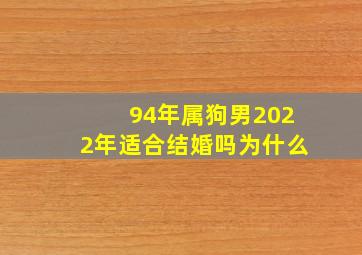 94年属狗男2022年适合结婚吗为什么