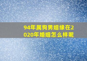 94年属狗男姻缘在2020年婚姻怎么样呢