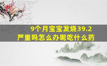 9个月宝宝发烧39.2严重吗怎么办呢吃什么药