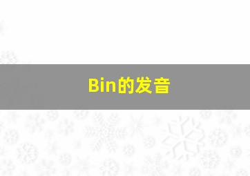 Bin的发音