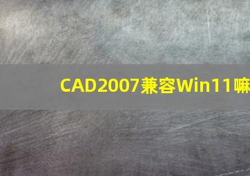 CAD2007兼容Win11嘛