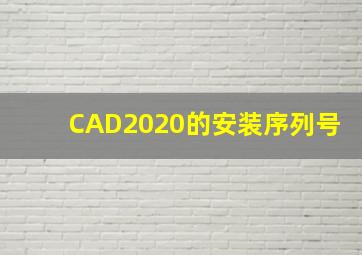 CAD2020的安装序列号