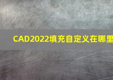 CAD2022填充自定义在哪里