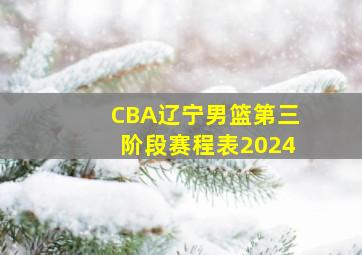 CBA辽宁男篮第三阶段赛程表2024