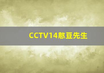 CCTV14憨豆先生