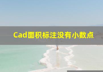 Cad面积标注没有小数点