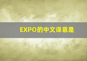 EXPO的中文译意是