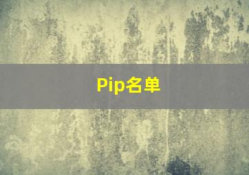 Pip名单