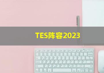 TES阵容2023