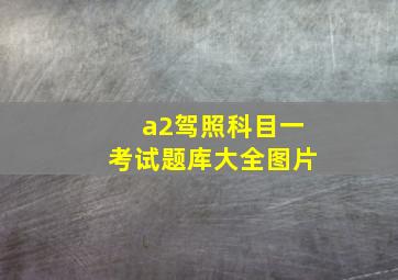 a2驾照科目一考试题库大全图片