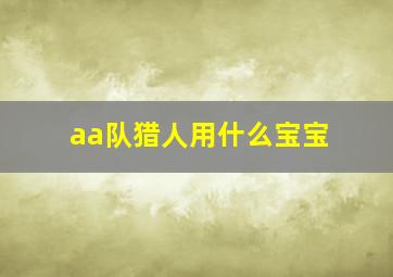 aa队猎人用什么宝宝