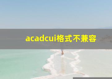 acadcui格式不兼容