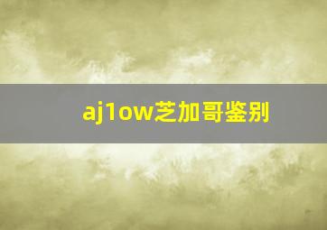 aj1ow芝加哥鉴别