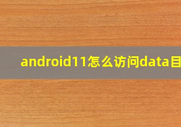 android11怎么访问data目录