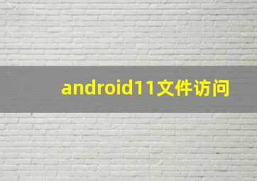 android11文件访问