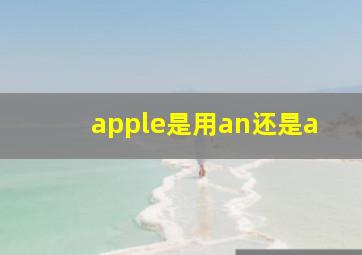 apple是用an还是a